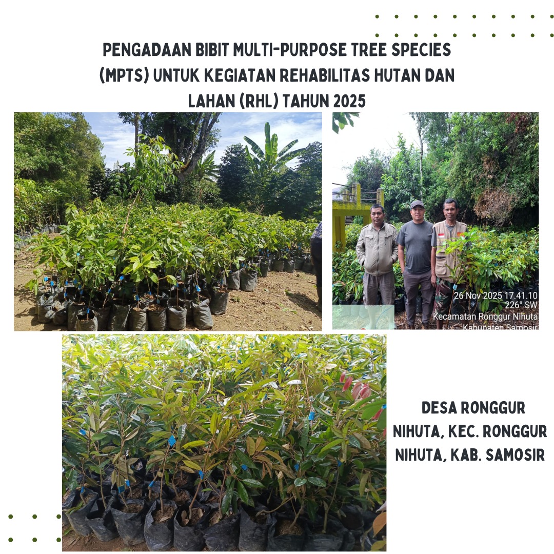 Pengadaan Bibit Multi-Purpose Tree Species (MPTS) Untuk Kegiatan Rehabilitasi Hutan Dan Lahan (RHL) Tahun 2025